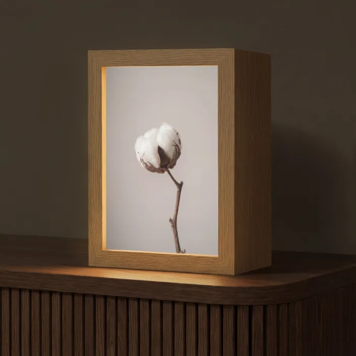 Katoenbol - Minimalistisch - Wit Light Box met kabel (Tafellamp) klein -z3d_website