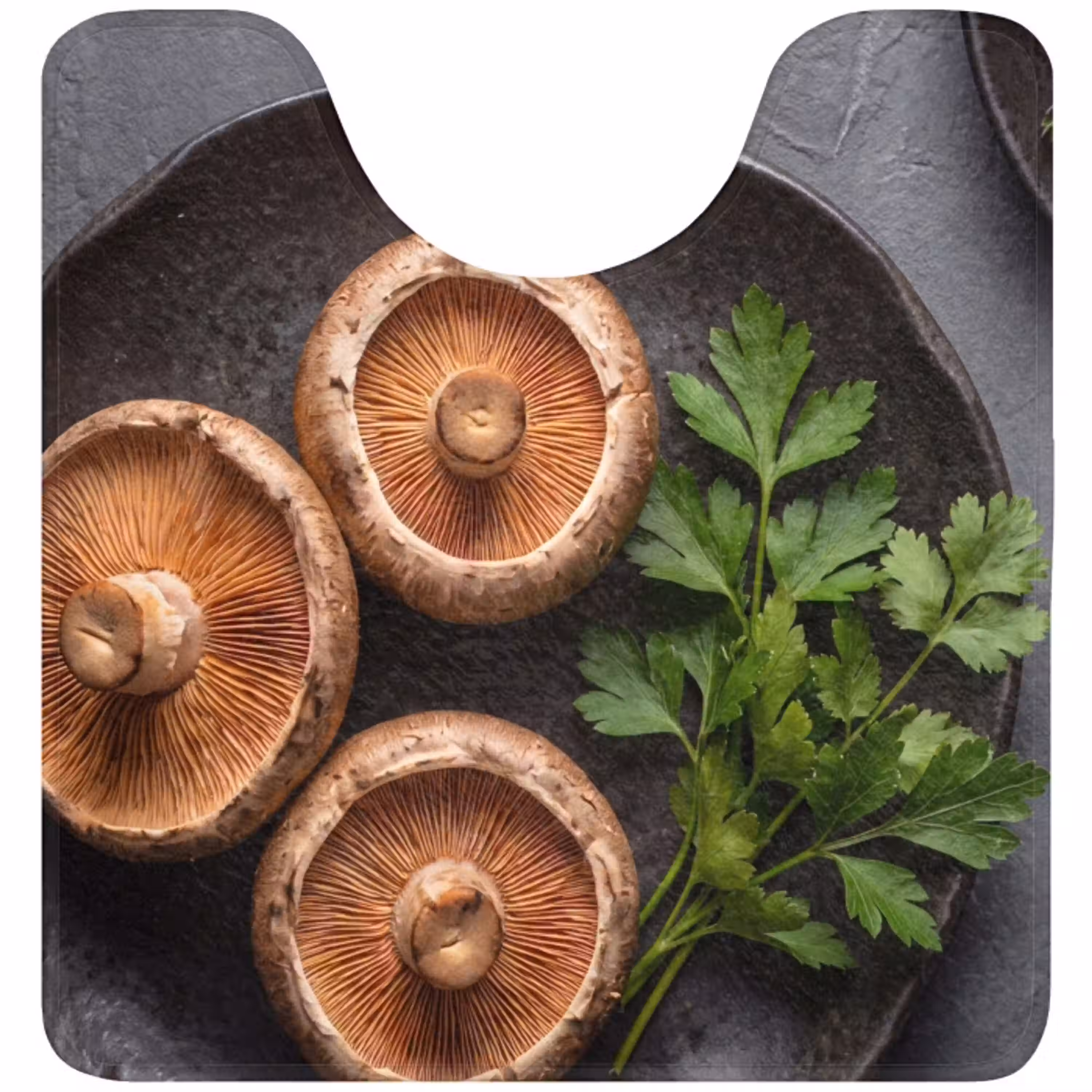 Paddestoelen - Kruiden - Eten WCmat U-uitsnede middel -3d