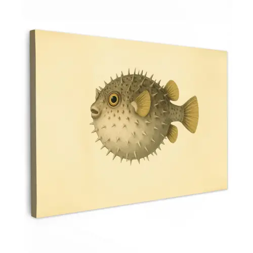 Stekels - Vis - Opgeblazen - Bruin canvas 2cm klein -z3d