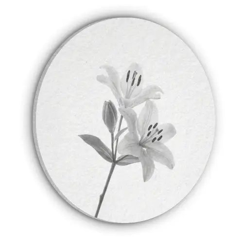 Lelies - Elegant - Zwart - Wit Akoestische PET Vilt - Rond klein -3d