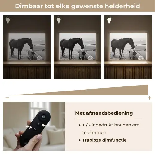 Paard - Auto - Zwart - Wit Light Box met batterij (Wandlamp) middel -USP_dimbaarNL