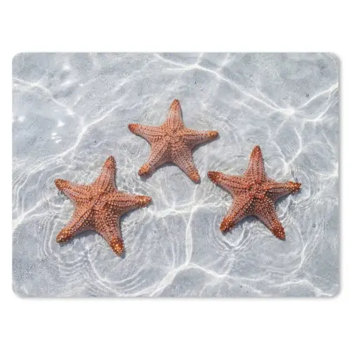 Zeesterren - Water - Helder muismat rubber klein -3d