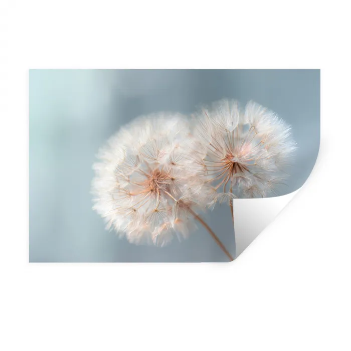 Paardenbloemen - Pluisjes - Wit Muursticker klein -3d