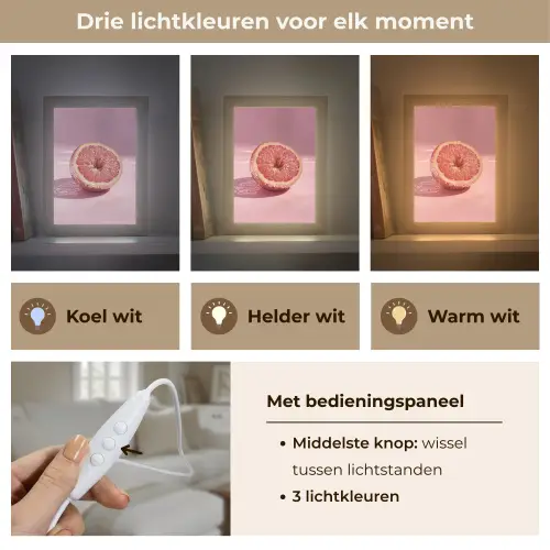 Grapefruit - Roze - Disco - Shiny Light Box met kabel (Tafellamp) klein -USP_lichtkleurNL