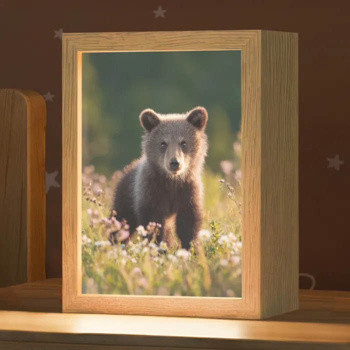 Beer - Bloemenveld - Gras Light Box met kabel klein -zzz_3d_website