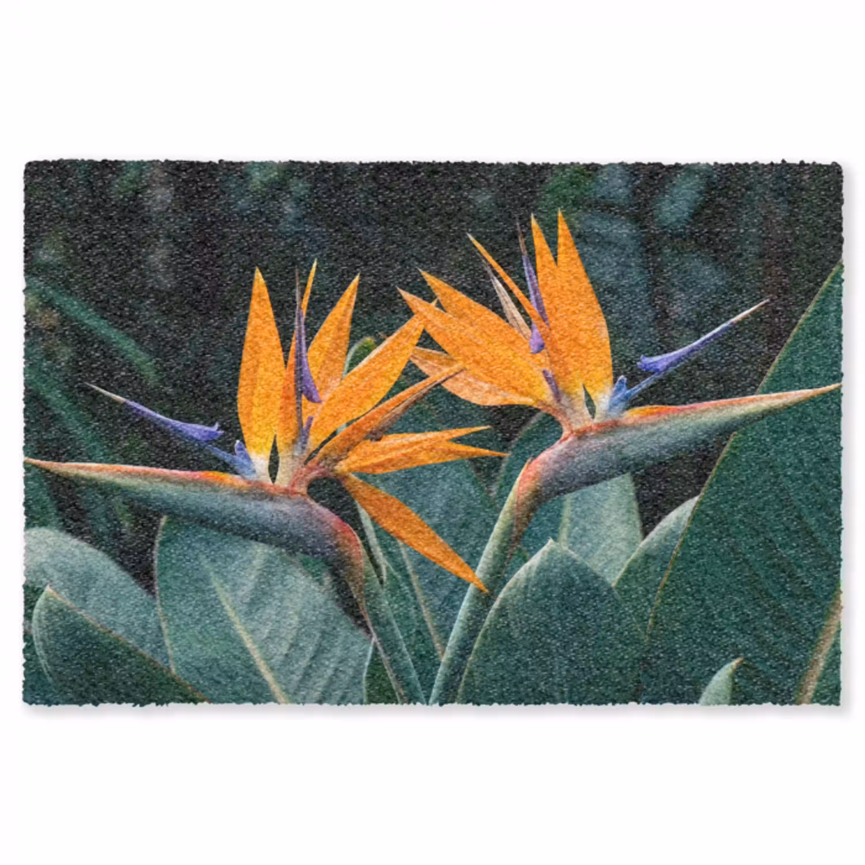 Paradijsvogel - Bloem - Exotisch Vloerkleed Rechthoek klein -3d