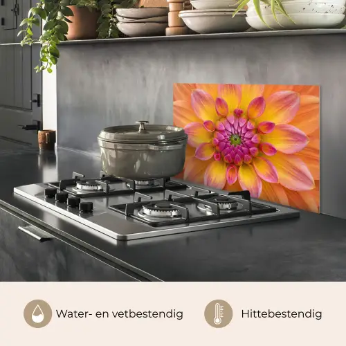 Dahlia - Bloem - Oranje keuken achterwand spatscherm klein -usp_NL