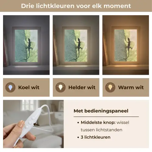 Hagedis - Blad - Nerven - Groen Light Box met kabel (Tafellamp) klein -USP_lichtkleurNL