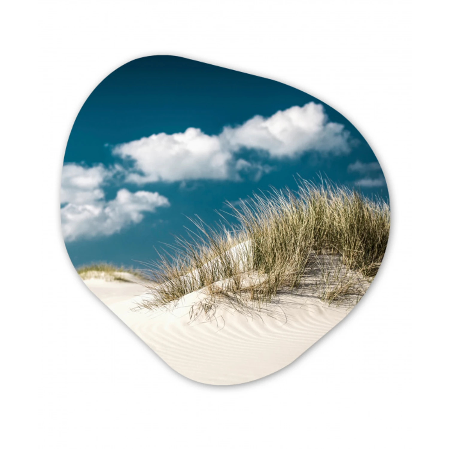 Grashalmen groeien op de witte zandduinen Wandcirkel Organisch Forex 3mm klein -3d