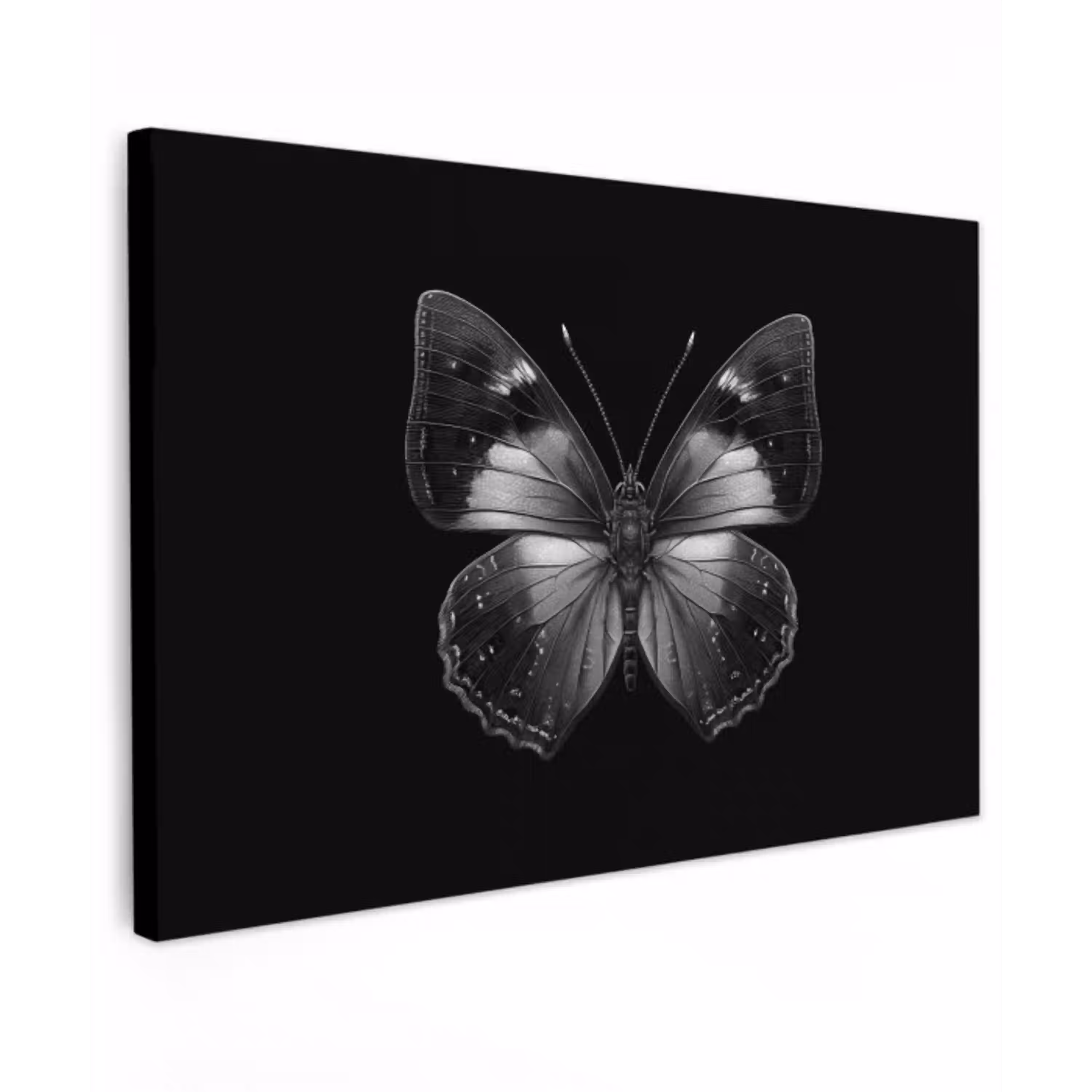 Vlinder - Grijs - Mysterieus canvas 2cm klein -z3d