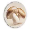 Champignons - Zacht - Beige Akoestische PET Vilt - Rond klein -3d