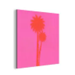 Palmbomen - Modern - Roze aluminium wit klein -3d