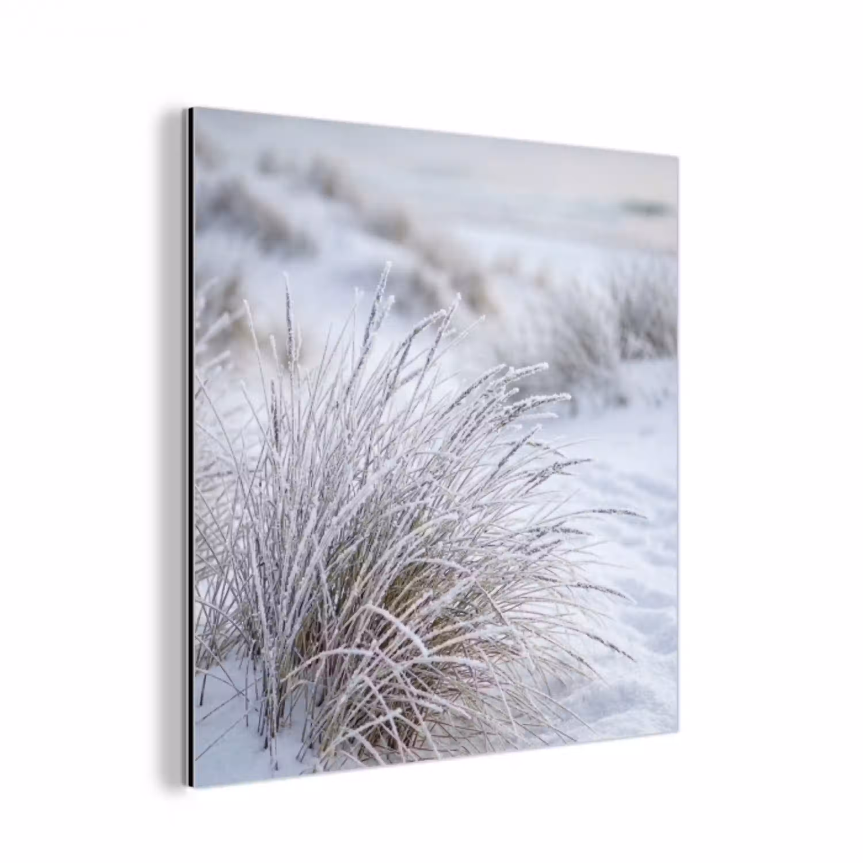 Duinen - Sneeuw - Strand - Winter - Serene aluminium wit klein -3d