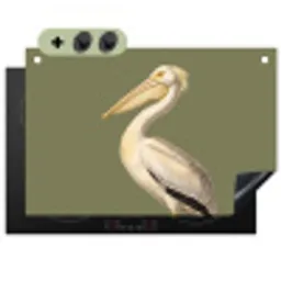 Pelikaan - Wit - Vogel - Klassiek - Natuur Inductie beschemer met haakjes klein -3d