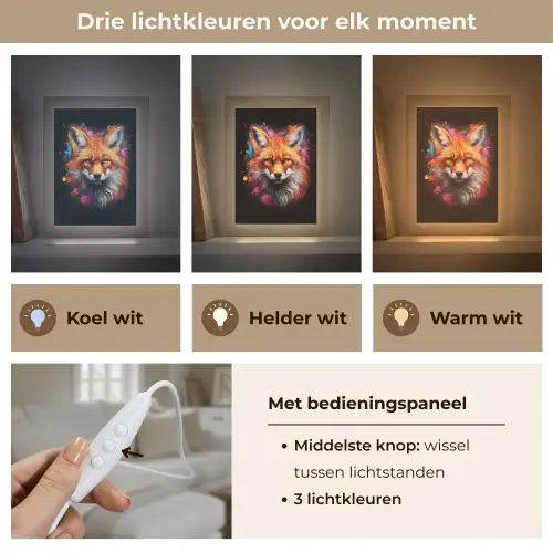Graffiti - Vos - Zwart - Pop art Light Box met kabel (Tafellamp) klein -USP_lichtkleurNL