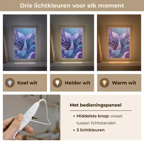 Zeemeerminnenstaart - Onderwaterplanten - Paars - Blauw Light Box met kabel klein -USP_lichtkleurNL