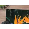 Paradijsvogel - Bloem - Exotisch muismat rubber klein -closeup
