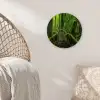 Jungle - Brug - Mos - Natuur - Tropisch Wandcirkel kunststof plaat 5mm dik klein -sfeer5