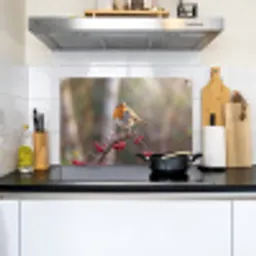 Roodborst - Tak - Bessen - Natuur Inductie beschemer met haakjes klein -sfeer2