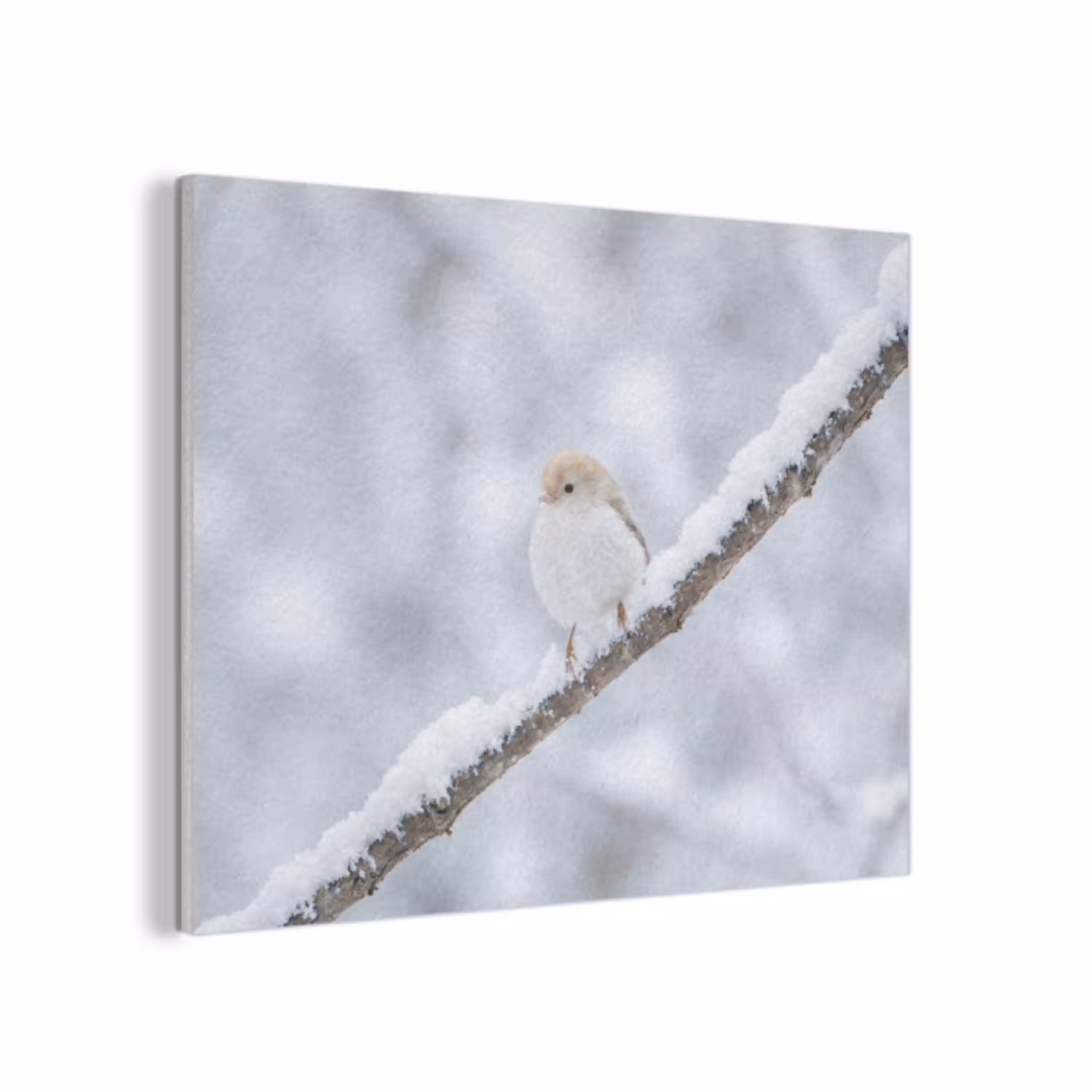 Vogeltje - Sneeuw - Tak - Winter - Zacht PET vilt klein -3d