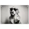 Golden retriever - Hond - Zonnebril - Gkas tuinposter los doek klein -3d