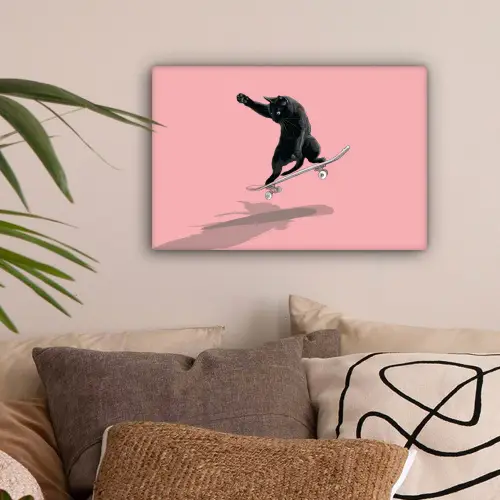 Kat - Skateboard - Roze canvas 2cm klein -sfeer1