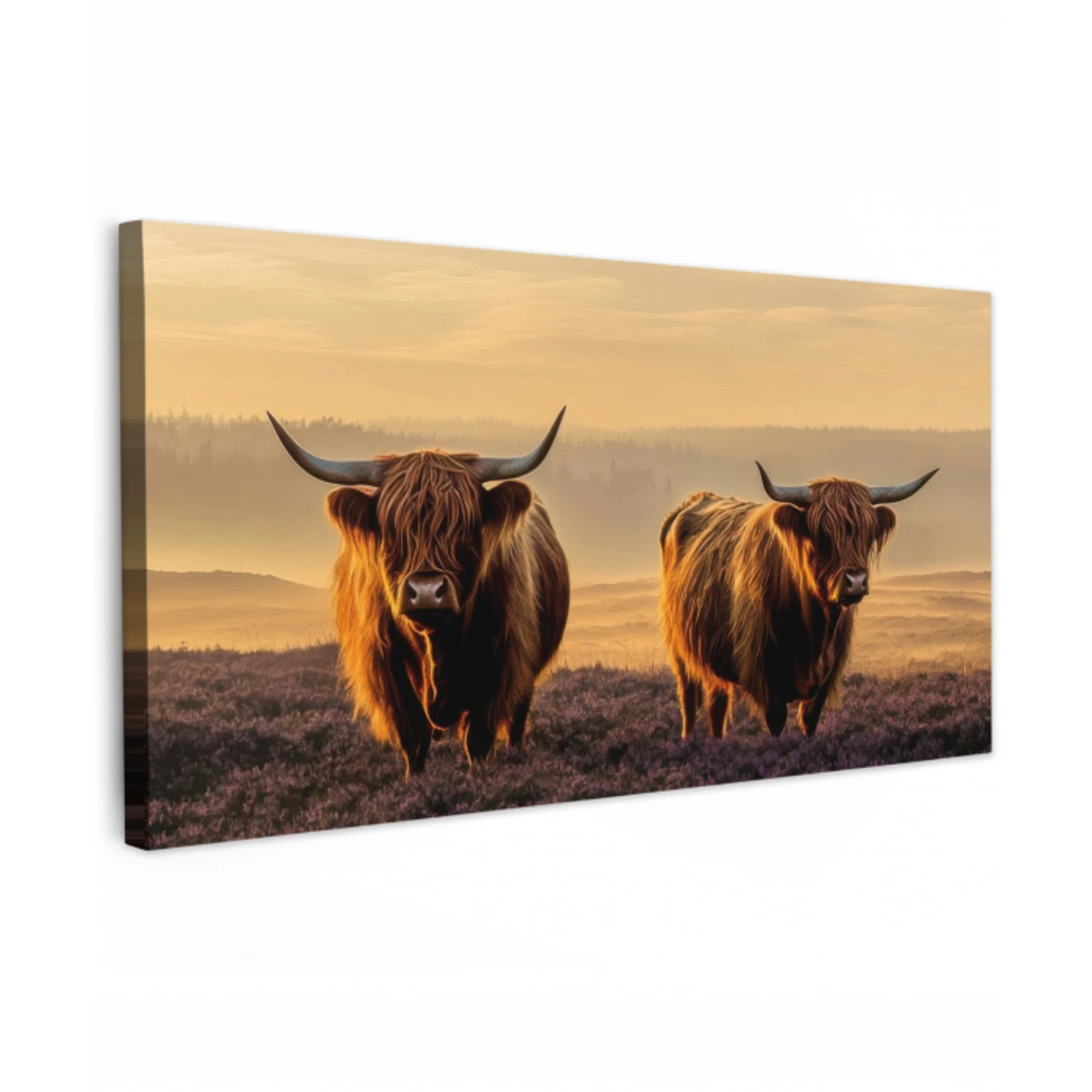 Schotse hooglanders - Heide - Landschap - Dieren Tuinposter op houten frame 2 cm dik xxl -3d