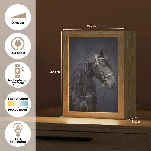 Portret - Paard - Donker Light Box met kabel (Tafellamp) klein -USP_NL