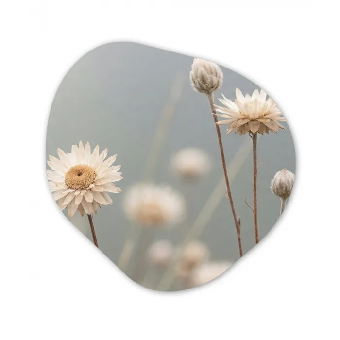 Strobloemen - Wit - Daglicht Wandcirkel Organisch Aluminium middel -3d