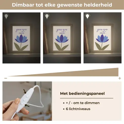 Korenbloem - Valentijn - Bloem - Blauw Light Box met kabel (Wandlamp) klein -USP_dimbaarNL