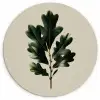 Eikenbladeren - Beige - Groen - Golvende randen Wandcirkel kunststof plaat 5mm dik klein -3d