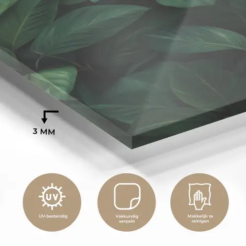 Bladeren - Ovaal - Groen - Nerven plexiglas 5mm klein -sfeer2