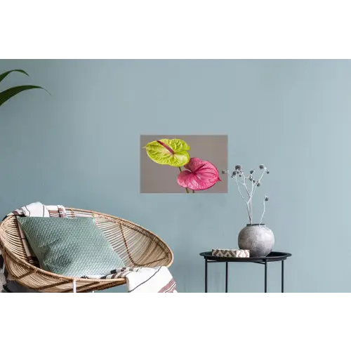 Planten - Anthurium - Groen - Roze Muursticker klein -plant