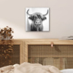 Schotse Hooglander - Dier - Douche - Humor aluminium wit klein -sfeer3