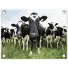 Koeien - Gras - Lente - Dieren - Weiland - Boerderij tuinposter los doek klein -3d