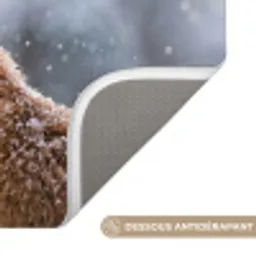 Vos - Sneeuwval - Portret - Winter - Sfeervol Badmat klein -USP_AntislipFR