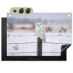 Sneeuwuil - Hek - Sneeuw - Wit Inductie beschemer met haakjes klein -3d