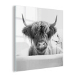 Schotse Hooglander - Koe - Bad - Zwart wit plexiglas 5mm klein -z3d