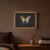 Vlinder - Kleurrijk - Speels Light Box met batterij (Wandlamp) middel -sfeer4