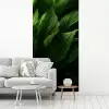 Bladeren - Schaduw - Groen - Textuur fotobehang vinyl groot -woonkamer