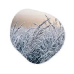 Rijp - Gras - Kristallen - Winter - Minimalistisch Wandcirkel Organisch Forex 3mm klein -3d