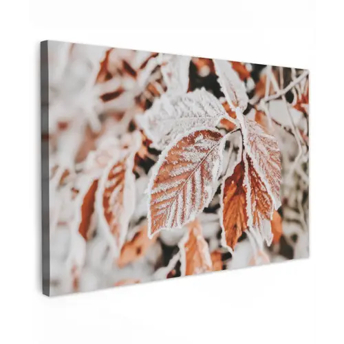 Bladeren - IJs - Winter - Natuur Tuinposter op houten frame 2 cm dik klein -3d