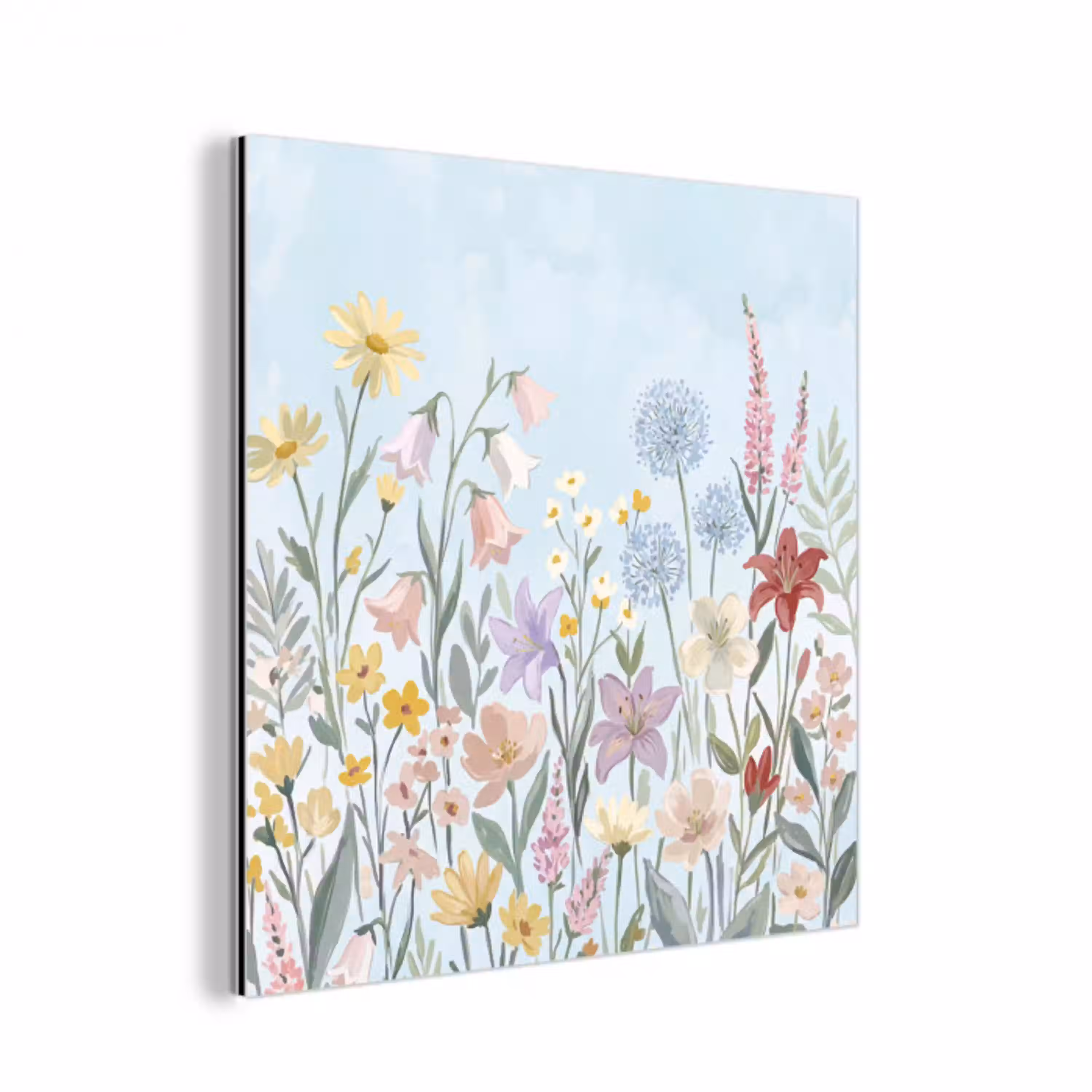 Weidebloemen - Illustratie - Kleurrijk aluminium wit klein -3d