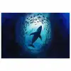 Walvis - Vissen - Donkerblauw poster papier klein -3d