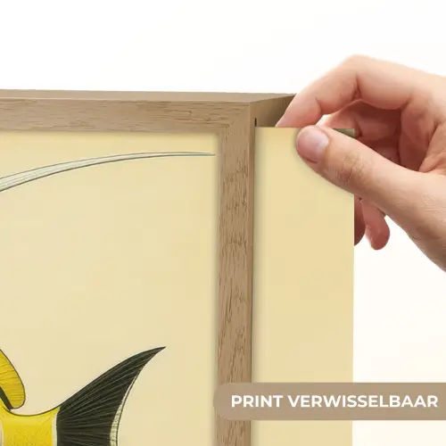 Vis - Sierlijk - Rugvin - Geel Light Box met batterij (Wandlamp) middel -USP_websiteprintNL