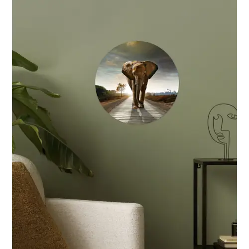 Olifant - Weg - Dieren - Zonsondergang - Landschap Wandcirkel behangsticker klein -sfeer2