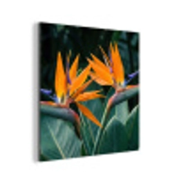 Paradijsvogel - Bloem - Exotisch aluminium wit klein -3d