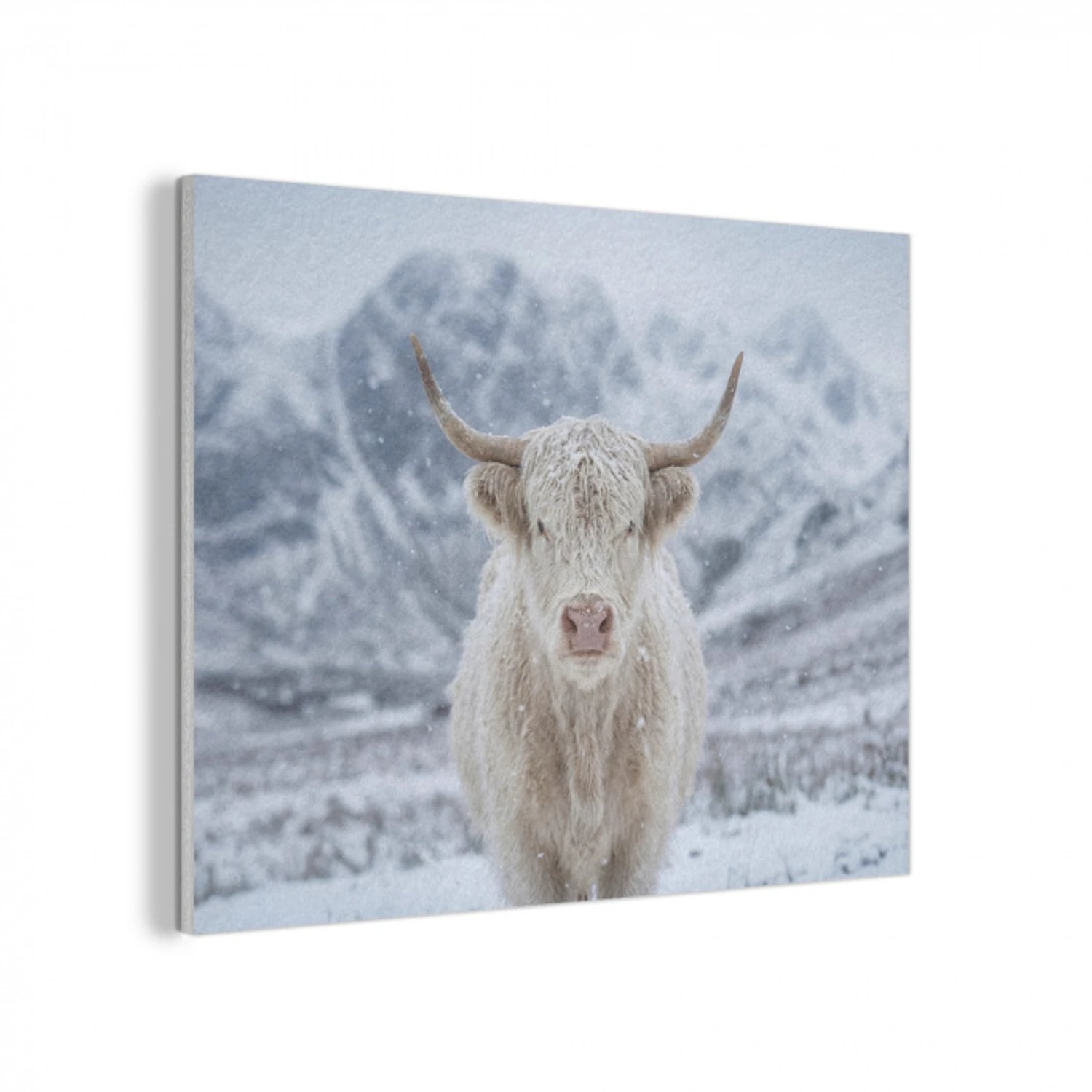 Schotse Hooglander - Sneeuw - Bergen - Winter PET vilt klein -3d