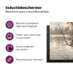 Winterkoninkje - Tak - Rivier - Natuur - Sfeervol Inductie beschermer vinyl 3mm middel -zzzzzzz-cc-usp