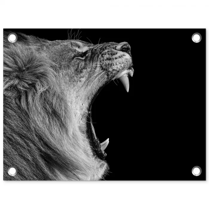 Dieren - Leeuw - Zwart - Wit - Portret tuinposter los doek klein -3d